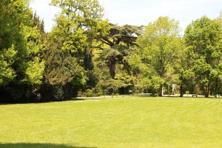 Chateau Castelrives Bessières Екстериор снимка