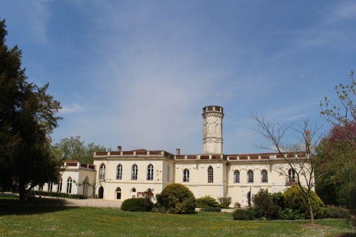 Chateau Castelrives Bessières Екстериор снимка